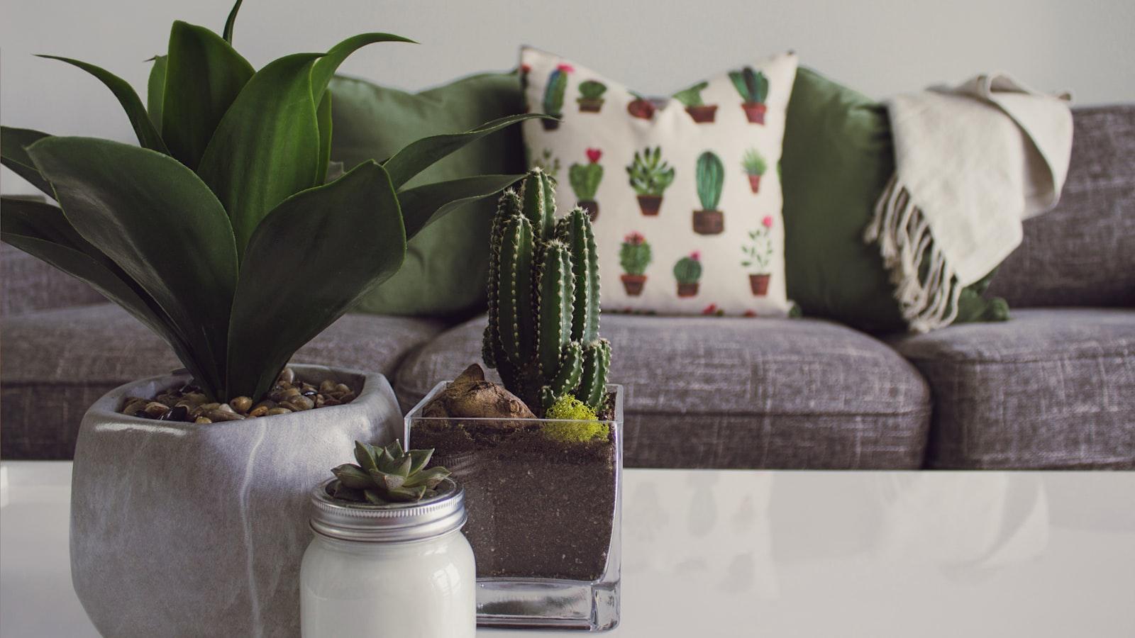 “Plant Parenthood: DIY Planters and Displays for Indoor Greenery”